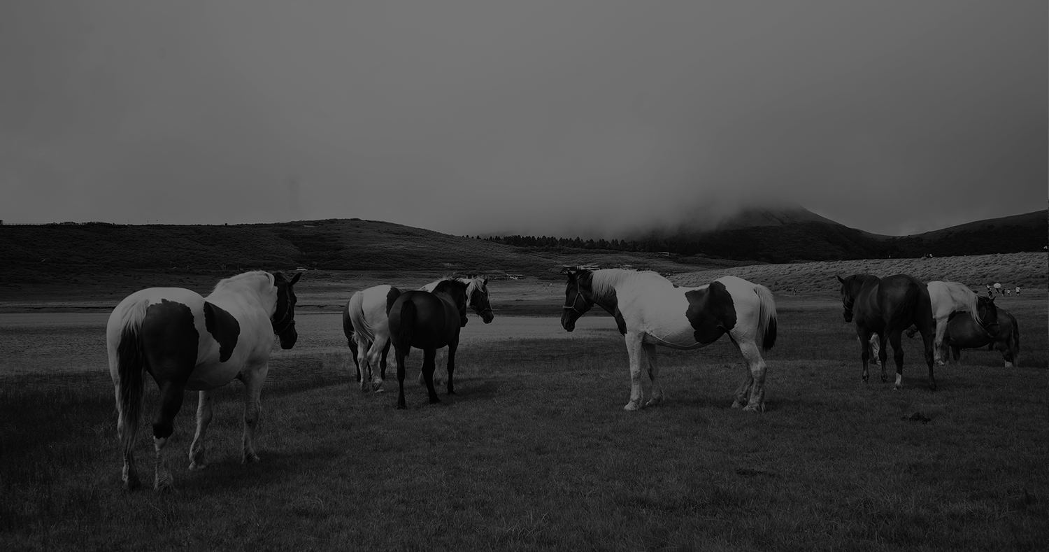 Archive Collection-59